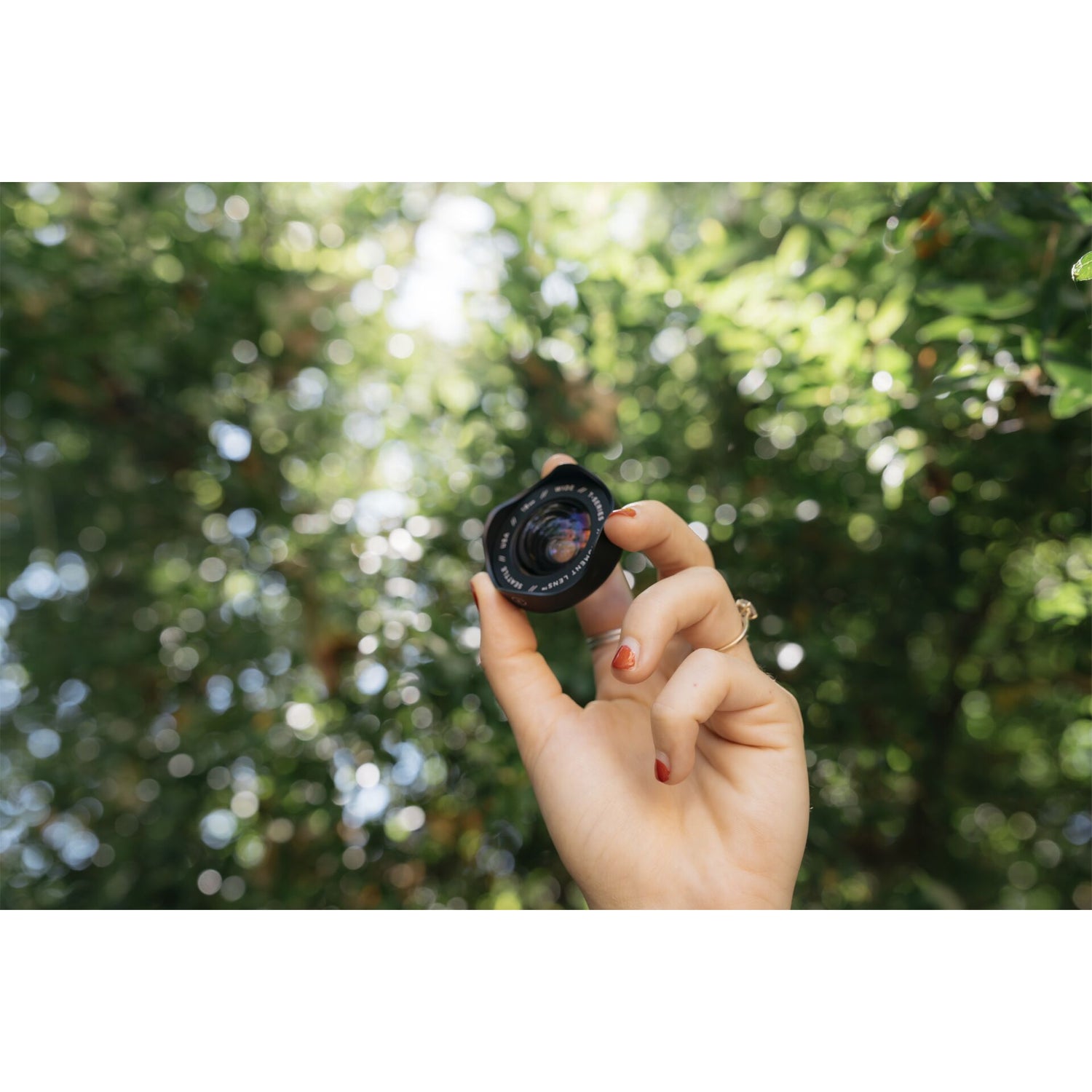 Eine Hand mit lackierten Nägeln hält das MOMENT 18-mm-Weitwinkelobjektiv - T-Serie vor einem unscharfen grünen Blatthintergrund und präsentiert damit stilvolles iPhone-Kamerazubehör.