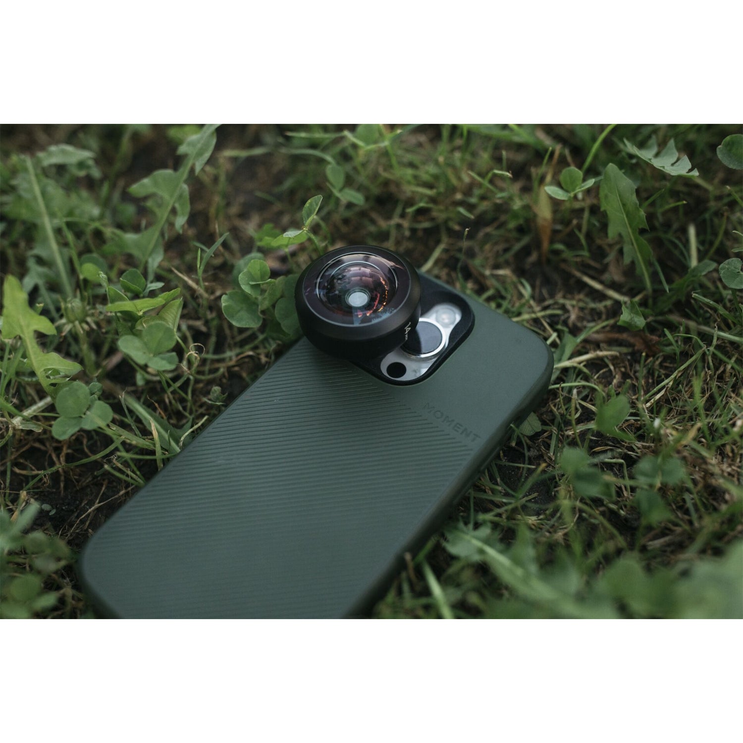 Ein Smartphone mit einem abnehmbaren MOMENT 14mm Fisheye-Objektiv - T-Serie liegt auf grünem Gras und kleinen Pflanzen.