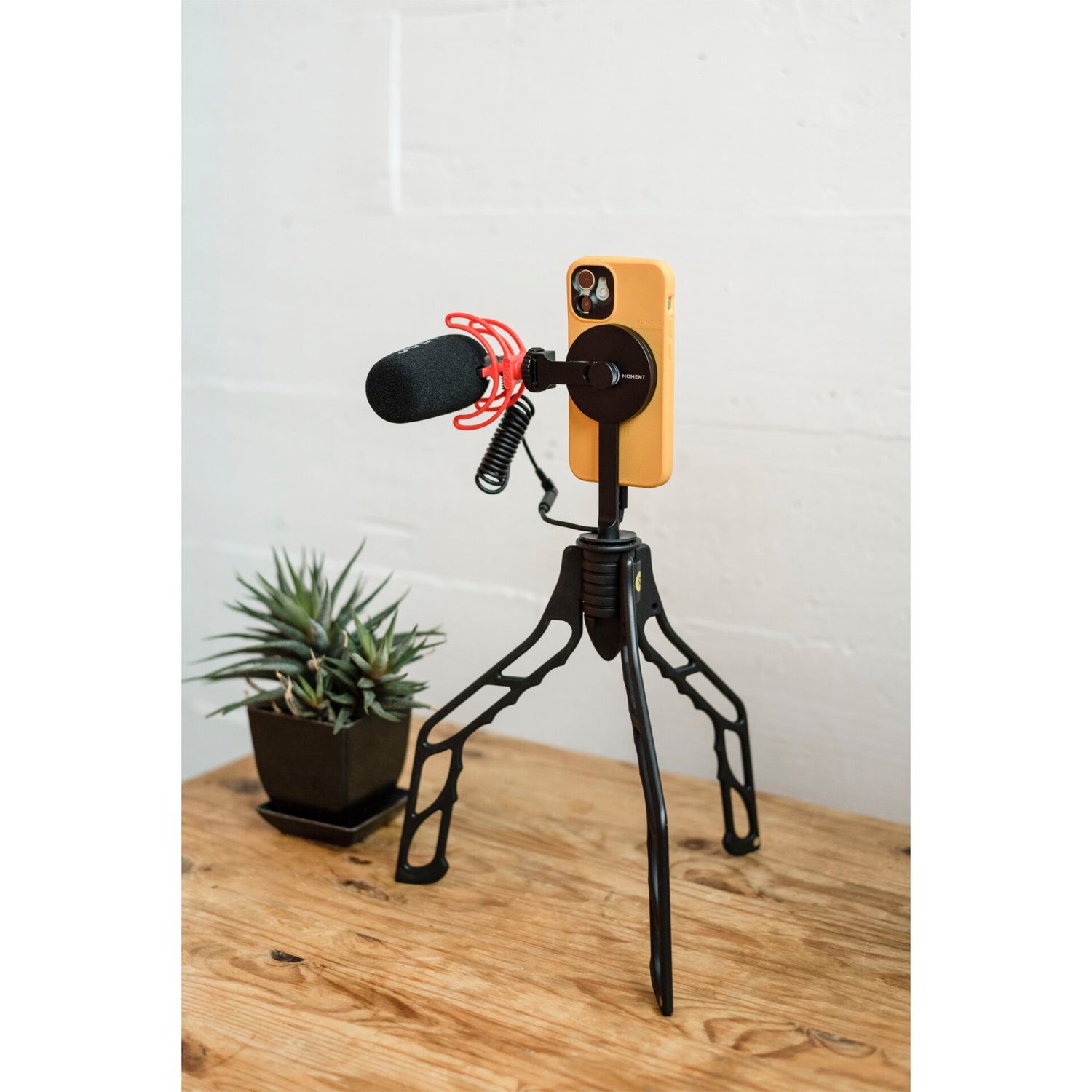 Ein Smartphone auf einer MOMENT Moment Pro Stativhalterung für MagSafe mit einem Mikrofon liegt auf einem Holztisch neben einer kleinen Topfpflanze.