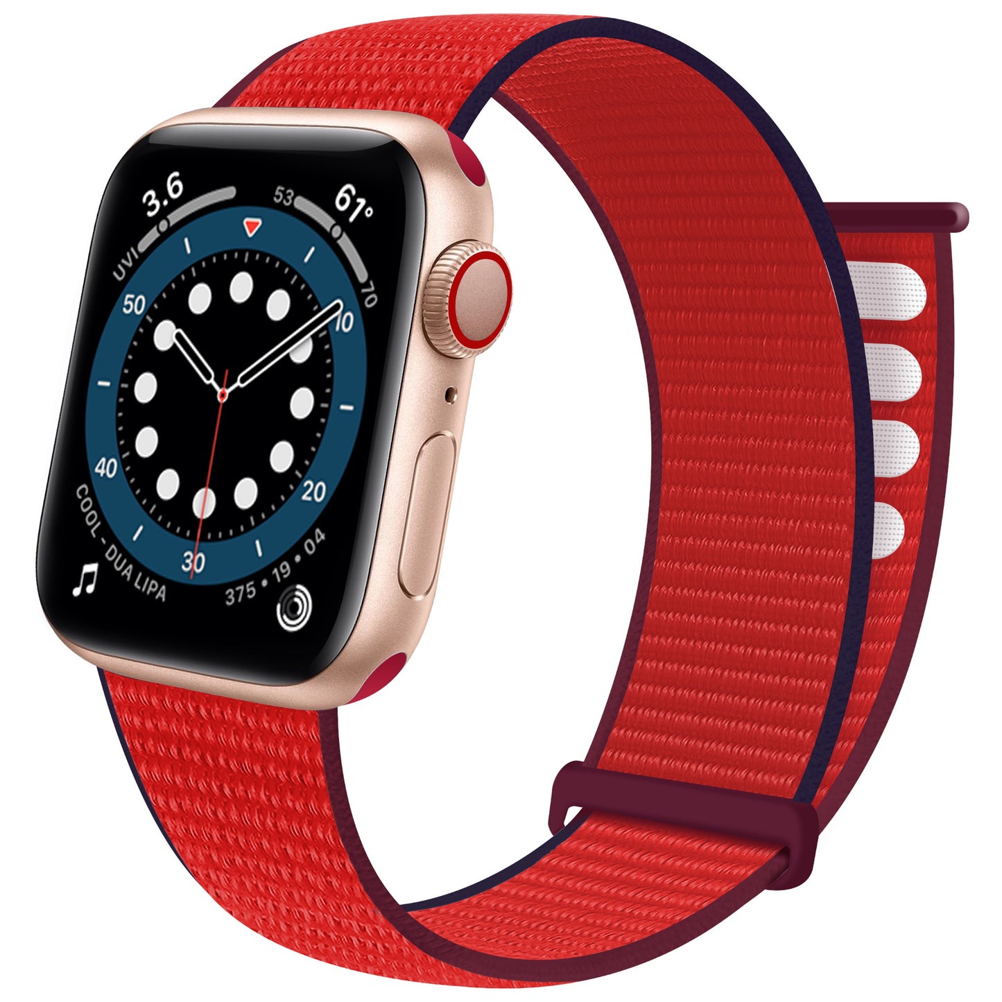 arktisband Apple Watch Sport Loop Armband