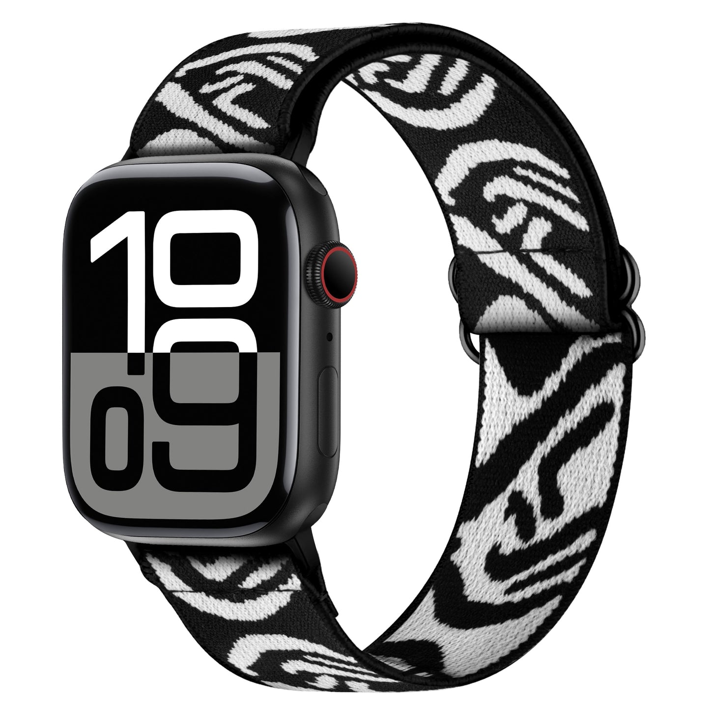 arktisband Apple Watch Nylon Loop Armband