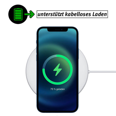Schutzhülle Für IPhone 13 Pro Max – Motiv Löwe, Stoßfest, TPU, Mit Kameraschutz